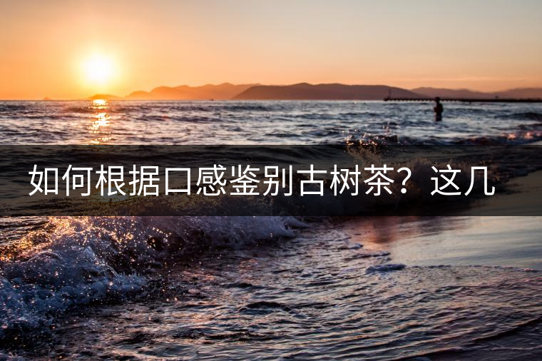 如何根據(jù)口感鑒別古樹茶？這幾個技巧值得收藏