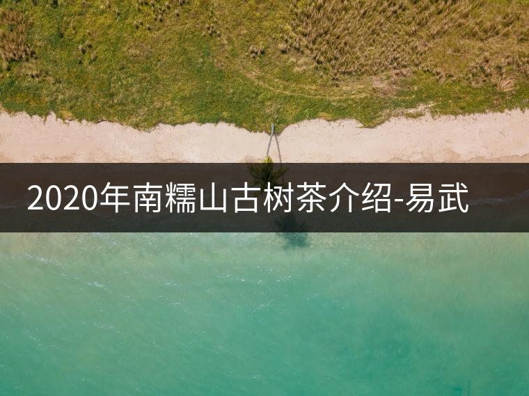 2020年南糯山古樹茶介紹-易武中聘號 2020年南糯山古樹茶介紹-易武中聘號