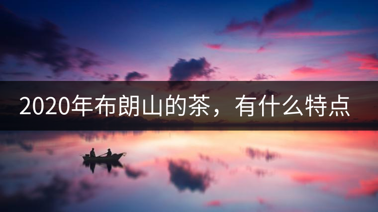 2020年布朗山的茶，有什么特點(diǎn)？-易武中聘號(hào)