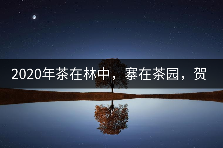 2020年茶在林中，寨在茶園，賀開(kāi)古樹(shù)茶-易武中聘號(hào)