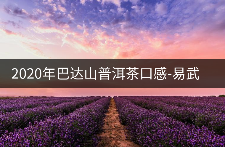 2020年巴達(dá)山普洱茶口感-易武中聘號(hào)