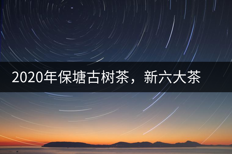 2020年保塘古樹茶，新六大茶山之勐宋茶佼佼者-易武中聘號