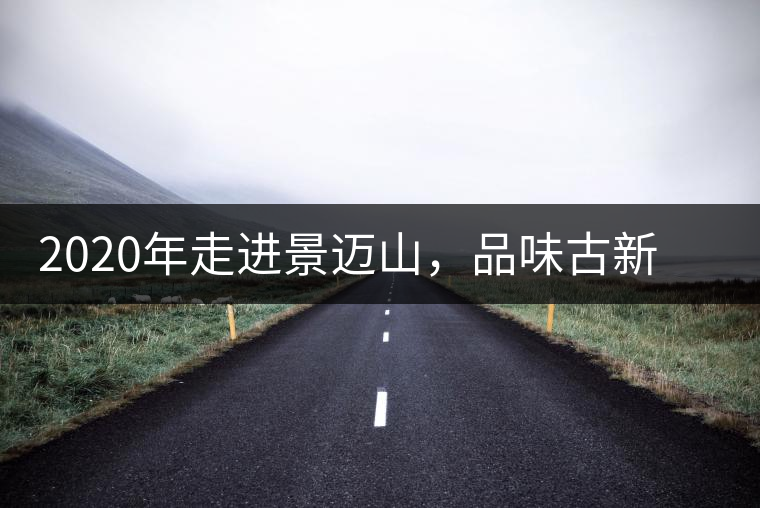 2020年走進(jìn)景邁山，品味古新六大茶山古樹茶之韻-易武中聘號(hào)