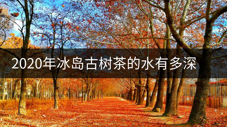 2020年冰島古樹茶的水有多深？別被蒙在鼓里啦-易武中聘號