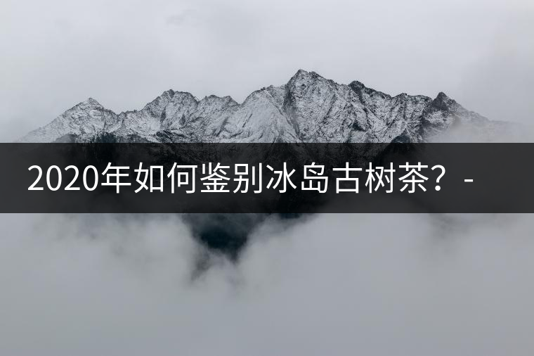 2020年如何鑒別冰島古樹茶？-易武中聘號(hào)