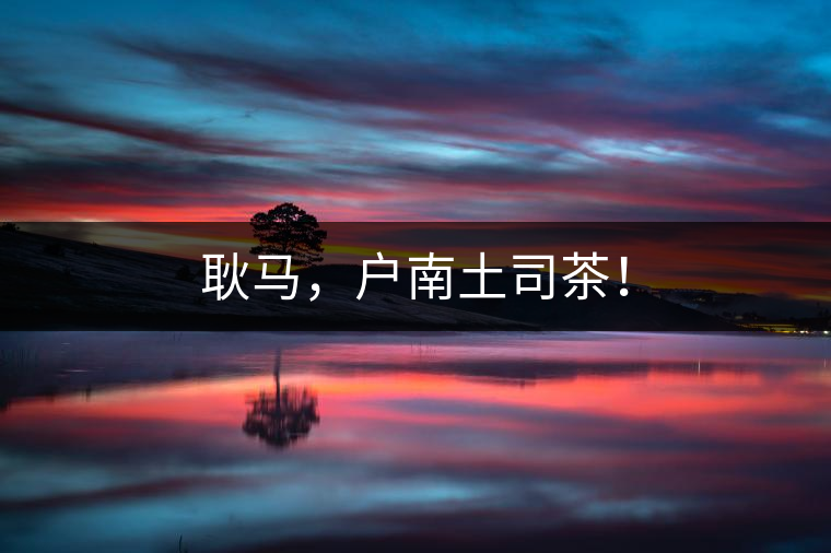 耿馬，戶南土司茶！
