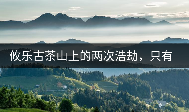 攸樂古茶山上的兩次浩劫，只有絕少部分的茶人解內(nèi)情
