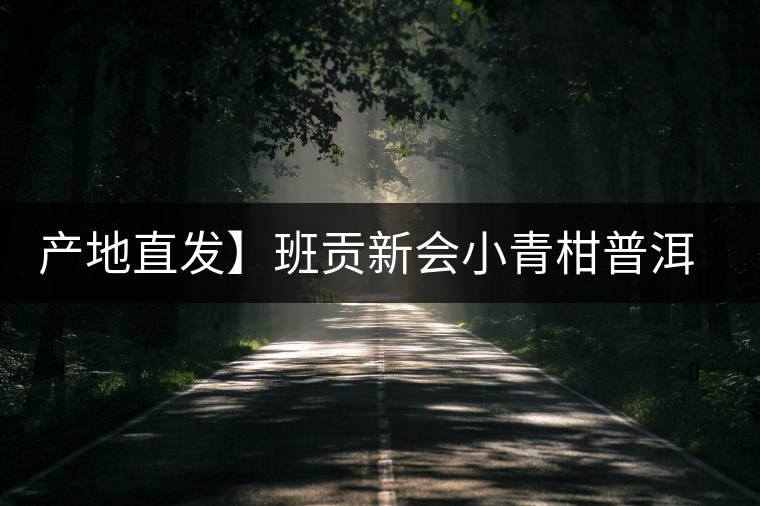 產(chǎn)地直發(fā)】班貢新會(huì)小青柑普洱茶柑普茶陳皮熟茶茶葉桔橘宮廷特級(jí) 產(chǎn)地直發(fā)】班貢新會(huì)小青柑普洱茶柑普茶陳皮熟茶茶葉桔橘宮廷特級(jí)