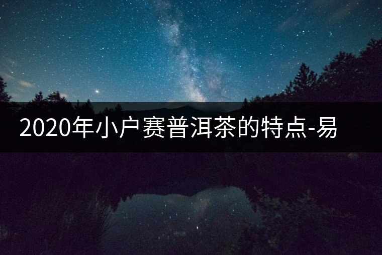 2020年小戶賽普洱茶的特點(diǎn)-易武中聘號