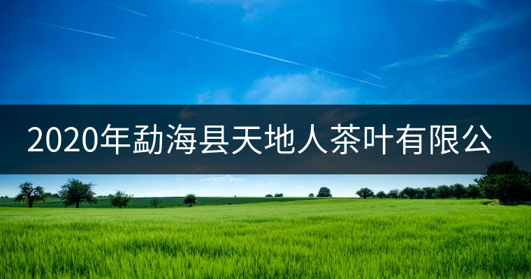 2020年勐海縣天地人茶葉有限公司簡介 2020年勐海縣天地人茶葉有限公司簡介