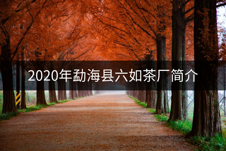 2020年勐海縣六如茶廠簡(jiǎn)介