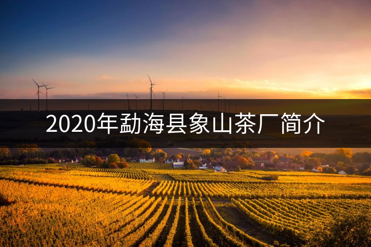 2020年勐??h象山茶廠簡(jiǎn)介 2020年勐海縣象山茶廠簡(jiǎn)介
