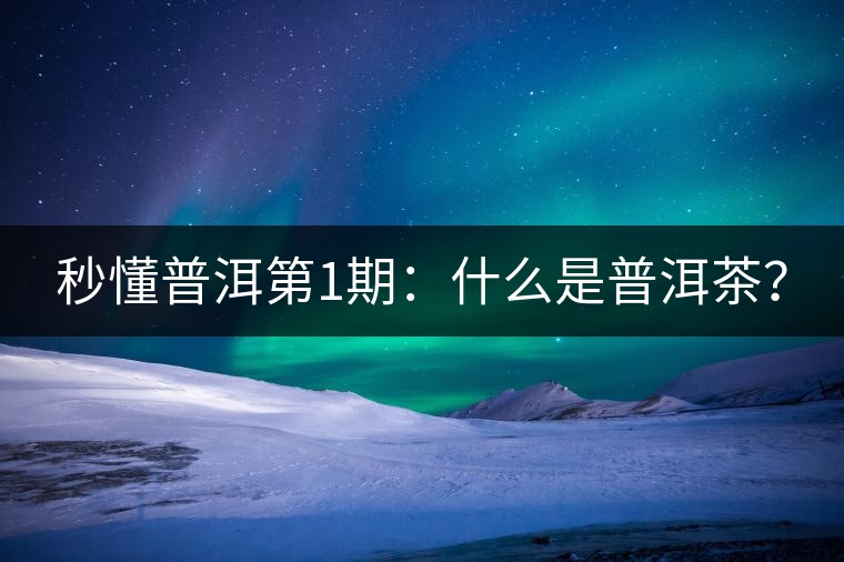 秒懂普洱第1期：什么是普洱茶？