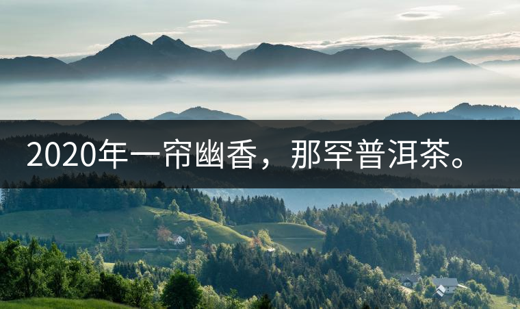 2020年一簾幽香，那罕普洱茶。-易武中聘號(hào)