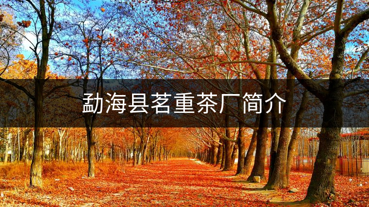 勐?？h茗重茶廠簡介
