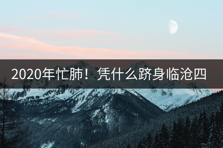 2020年忙肺！憑什么躋身臨滄四大名茶-易武中聘號(hào)