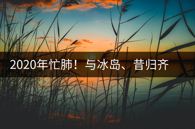 2020年忙肺！與冰島、昔歸齊名的普洱茶，到底是什么味道？-易武中聘號