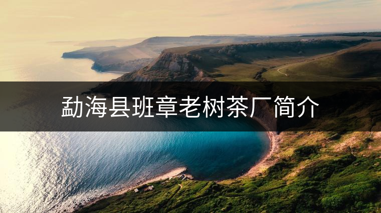 勐??h班章老樹(shù)茶廠簡(jiǎn)介 勐??h班章老樹(shù)茶廠簡(jiǎn)介