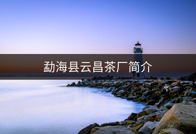 勐?？h云昌茶廠簡介