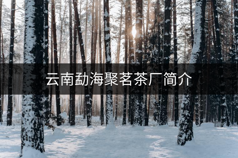 云南勐海聚茗茶廠簡介 云南勐海聚茗茶廠簡介