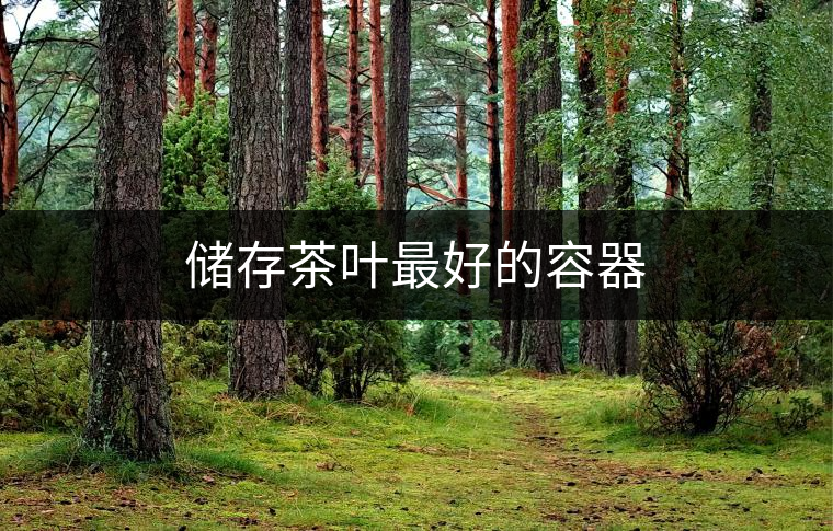 儲存茶葉最好的容器