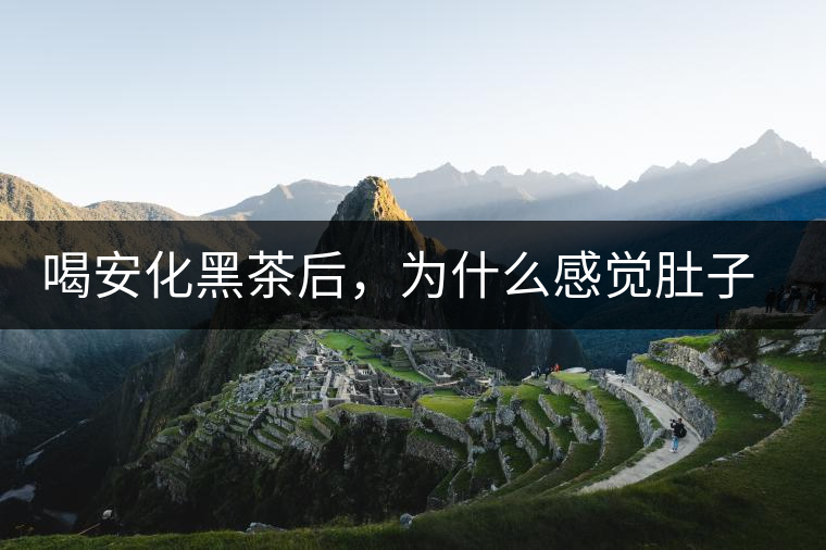喝安化黑茶后，為什么感覺肚子餓的快？