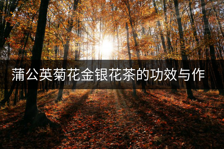 蒲公英菊花金銀花茶的功效與作用 蒲公英菊花金銀花茶的功效與作用