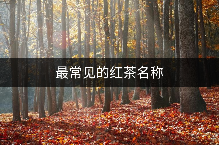 最常見(jiàn)的紅茶名稱(chēng)