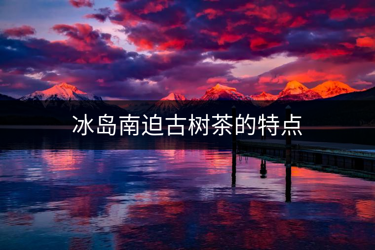 冰島南迫古樹茶的特點(diǎn) 冰島南迫古樹茶的特點(diǎn)