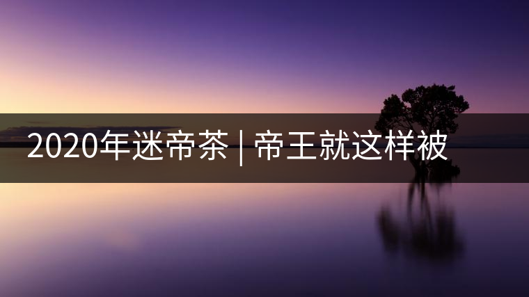 2020年迷帝茶 | 帝王就這樣被迷住了？-易武中聘號