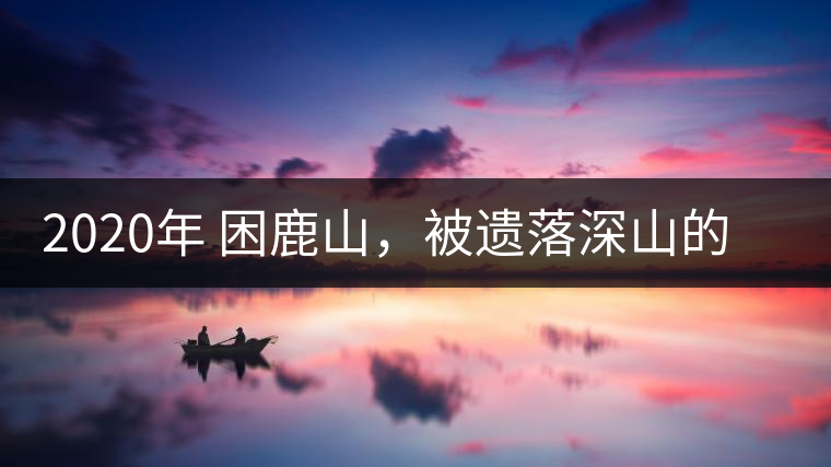2020年 困鹿山，被遺落深山的皇家古茶園-易武中聘號(hào)