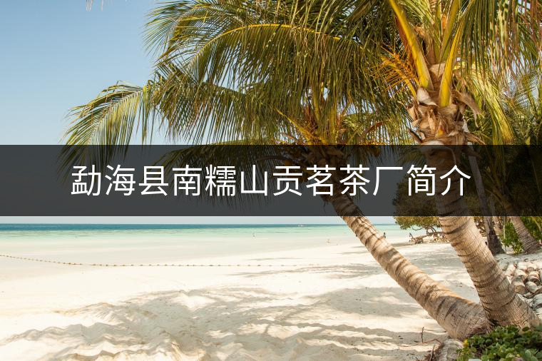 勐?？h南糯山貢茗茶廠簡介