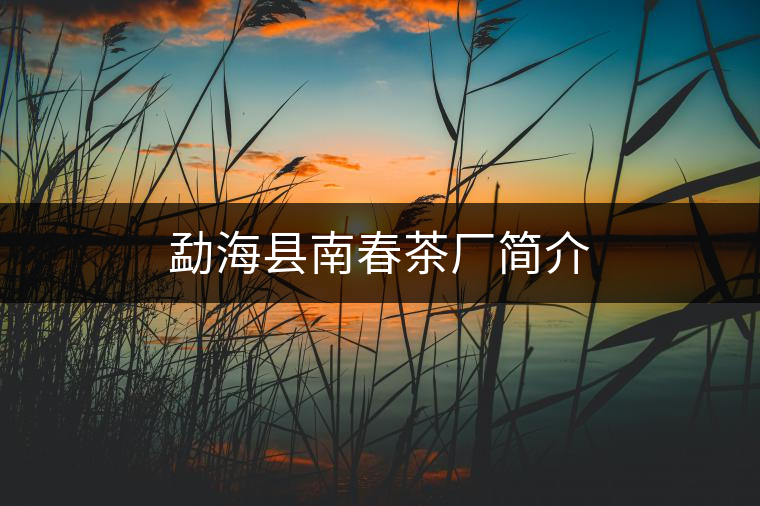 勐海縣南春茶廠簡介 勐海縣南春茶廠簡介