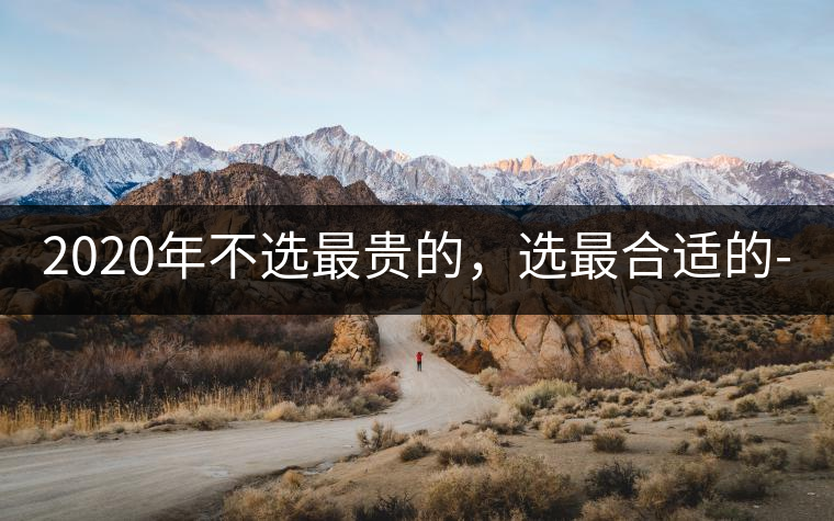 2020年不選最貴的，選最合適的-無(wú)量山古樹(shù)茶 |-易武中聘號(hào)