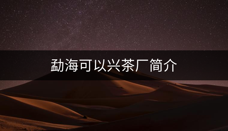 勐?？梢耘d茶廠簡介