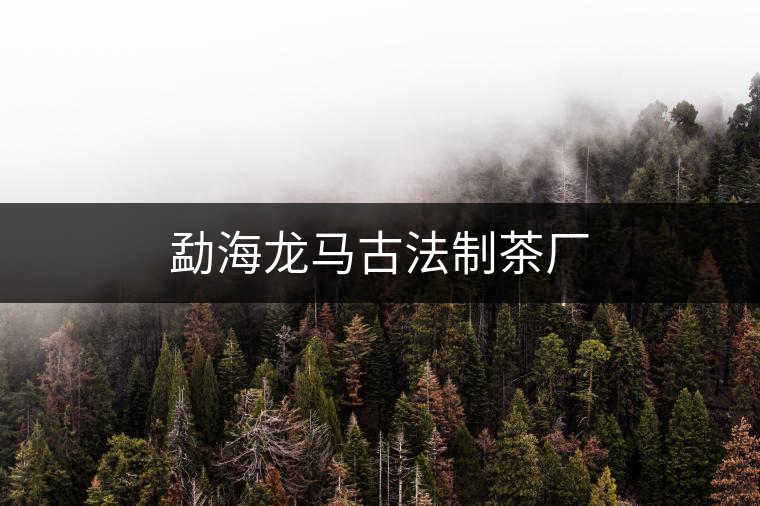 勐海龍馬古法制茶廠