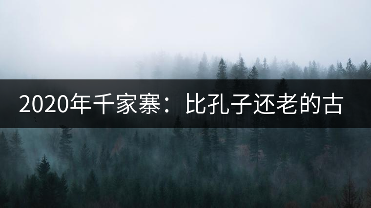 2020年千家寨：比孔子還老的古茶樹(shù)-易武中聘號(hào)