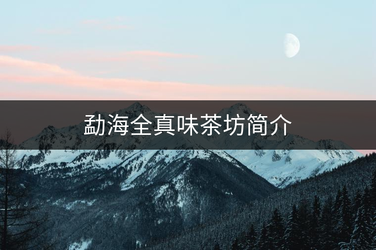 勐海全真味茶坊簡介