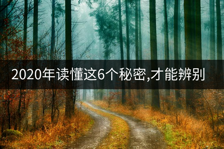 2020年讀懂這6個(gè)秘密,才能辨別真假老班章!-易武中聘號 2020年讀懂這6個(gè)秘密,才能辨別真假老班章!-易武中聘號