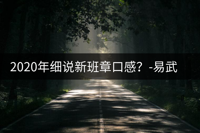 2020年細(xì)說新班章口感？-易武中聘號