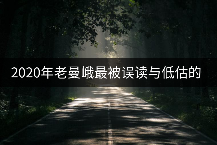2020年老曼峨最被誤讀與低估的名山茶-易武中聘號(hào)