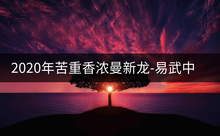 2020年苦重香濃曼新龍-易武中聘號