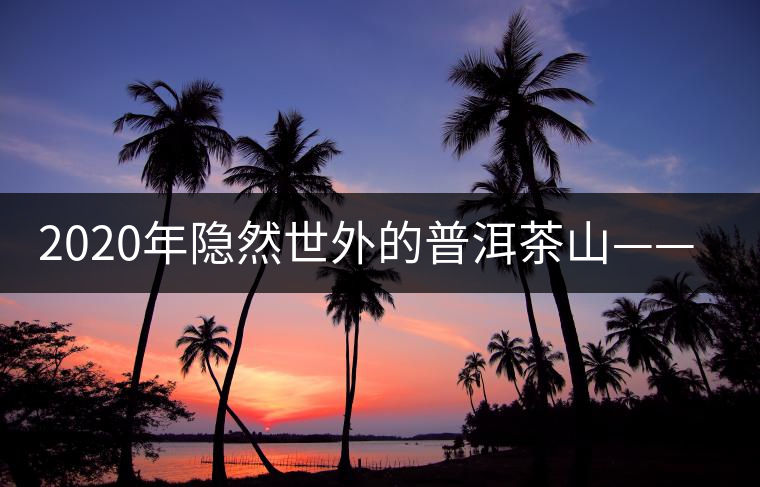 2020年隱然世外的普洱茶山——衛(wèi)東-易武中聘號 2020年隱然世外的普洱茶山——衛(wèi)東-易武中聘號