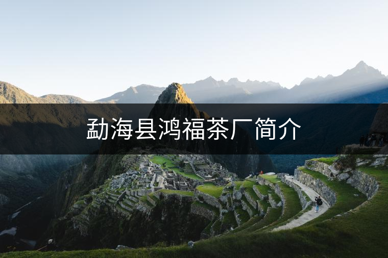 勐?？h鴻福茶廠簡介