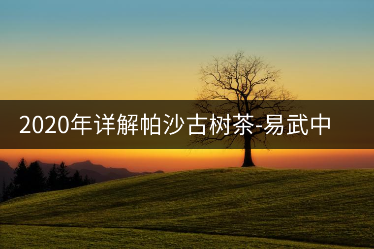 2020年詳解帕沙古樹(shù)茶-易武中聘號(hào) 2020年詳解帕沙古樹(shù)茶-易武中聘號(hào)