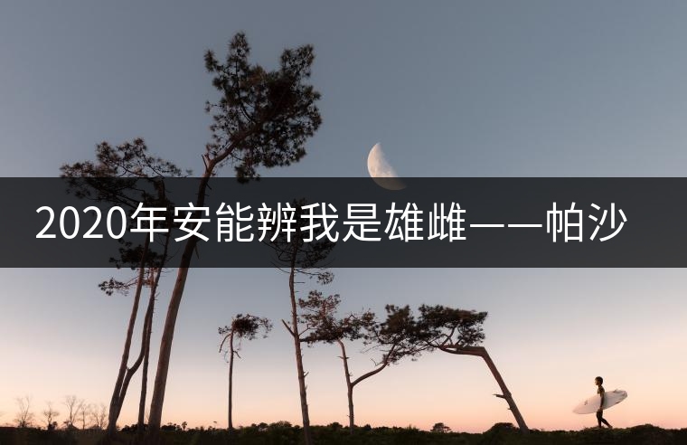 2020年安能辨我是雄雌——帕沙古樹(shù)茶-易武中聘號(hào)