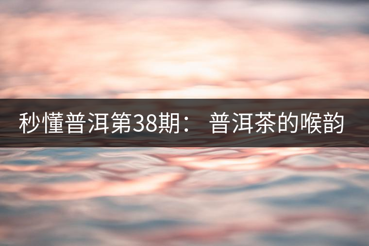 秒懂普洱第38期： 普洱茶的喉韻是什么？