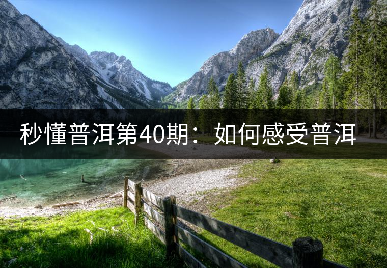 秒懂普洱第40期：如何感受普洱茶的湯感？