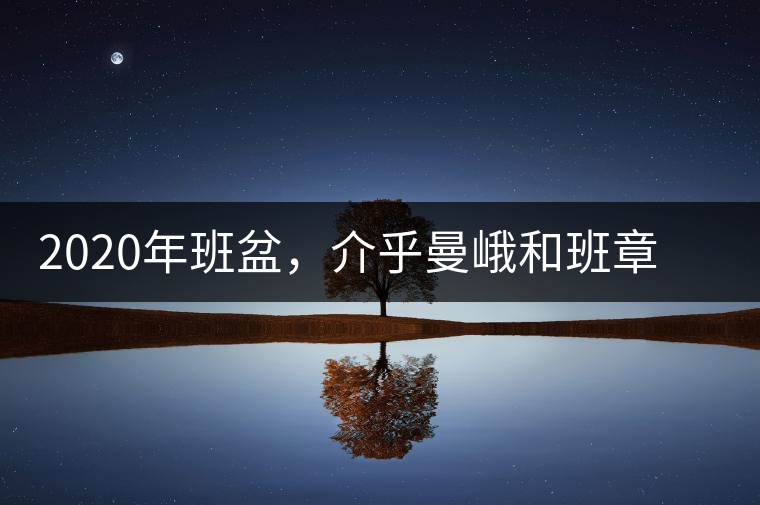 2020年班盆，介乎曼峨和班章間的“老漢子”-易武中聘號