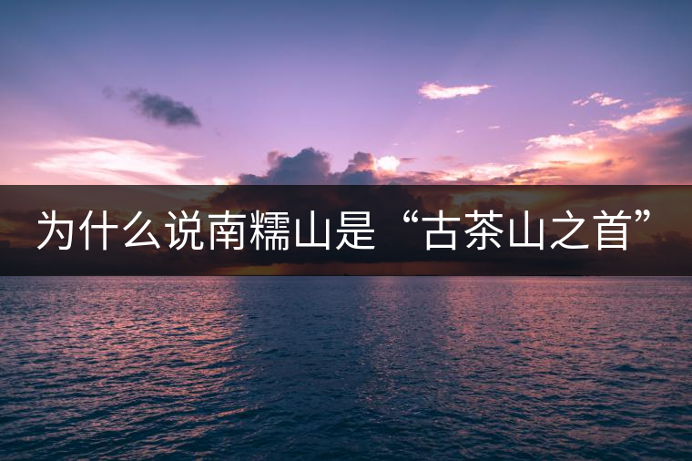 為什么說南糯山是“古茶山之首”？